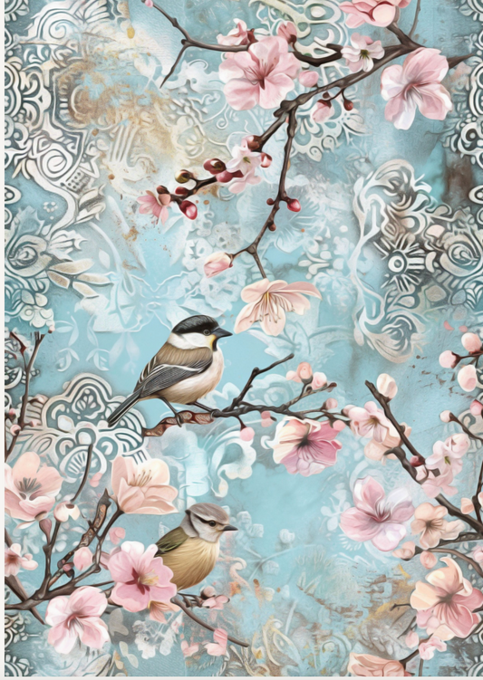 Birds and Blossom